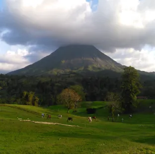 An imposing volcano with its summit covered in clouds above a green field with grazing horses.