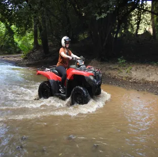 An ATV riding through a jungle environment.