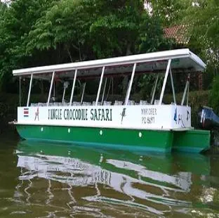 A green and white tourist boat with a flat roof sailing on a river surrounded by vegetation.