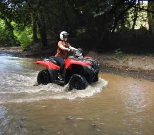 An ATV riding through a jungle environment.
