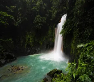 A vivid turquoise river pool surrounded by lush green tropical rainforest vegetation.