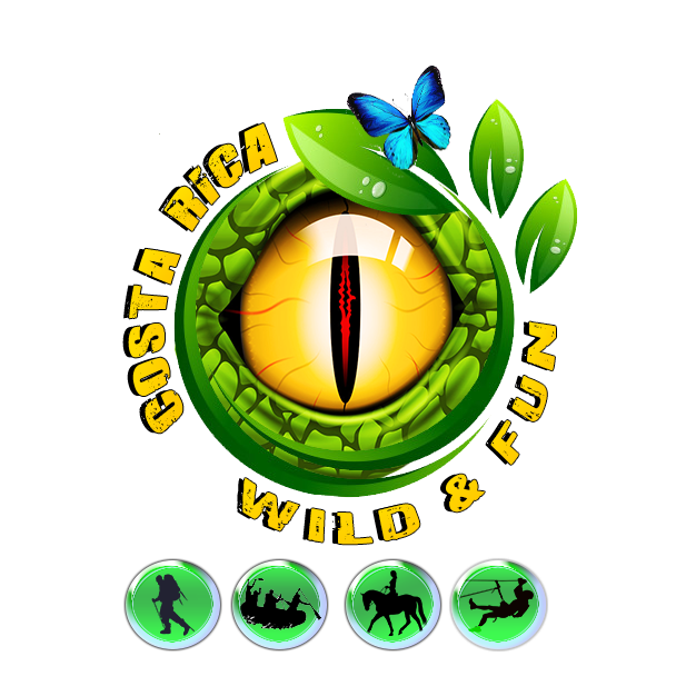 CR Wild & Fun