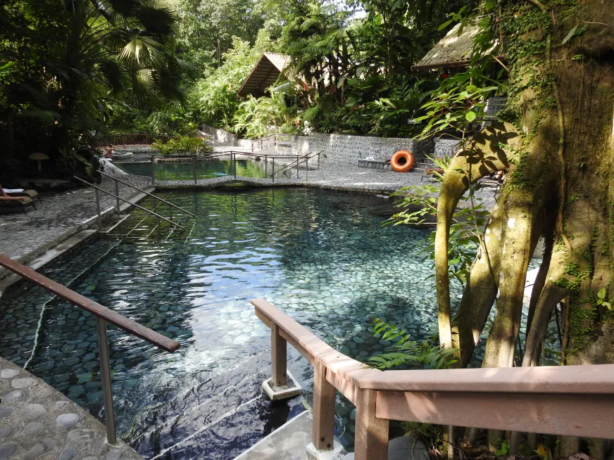A natural thermal pool with wooden deck railings surrounded by tropical vegetation.