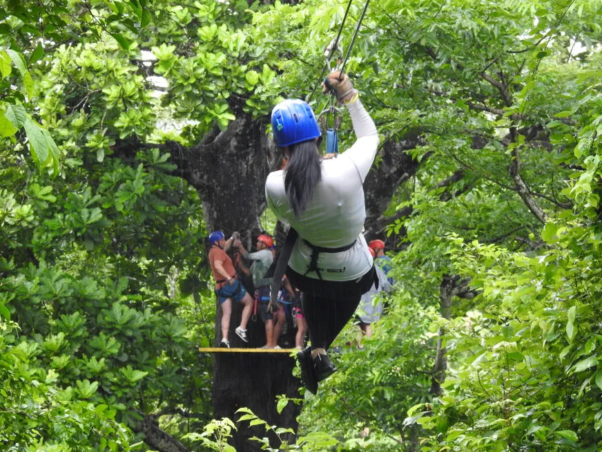 A person wearing a blue helmet zips over a lush forest with other participants.