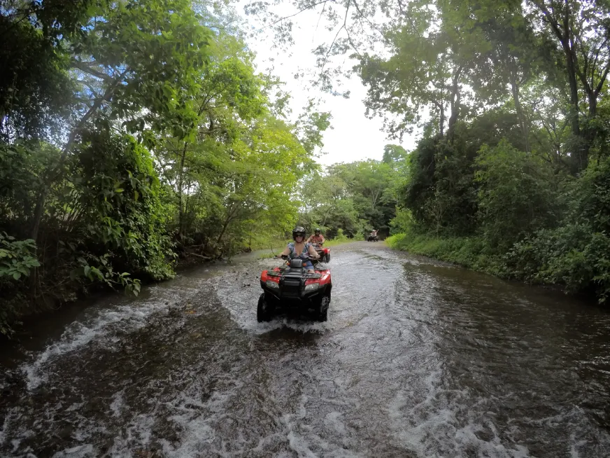 People driving red all-terrain vehicles through a stream surrounded by green trees.