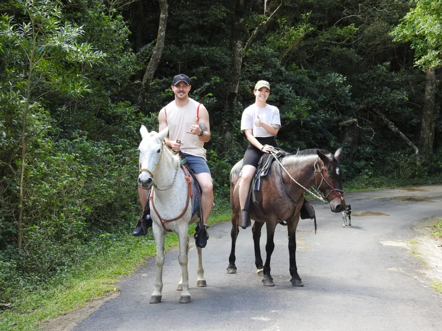 Two tourists ride horses along a paved jungle trail surrounded by dense green vegetation.