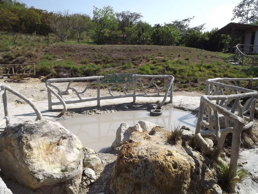 An outdoor thermal pool surrounded by a wooden deck railing and tropical trees.