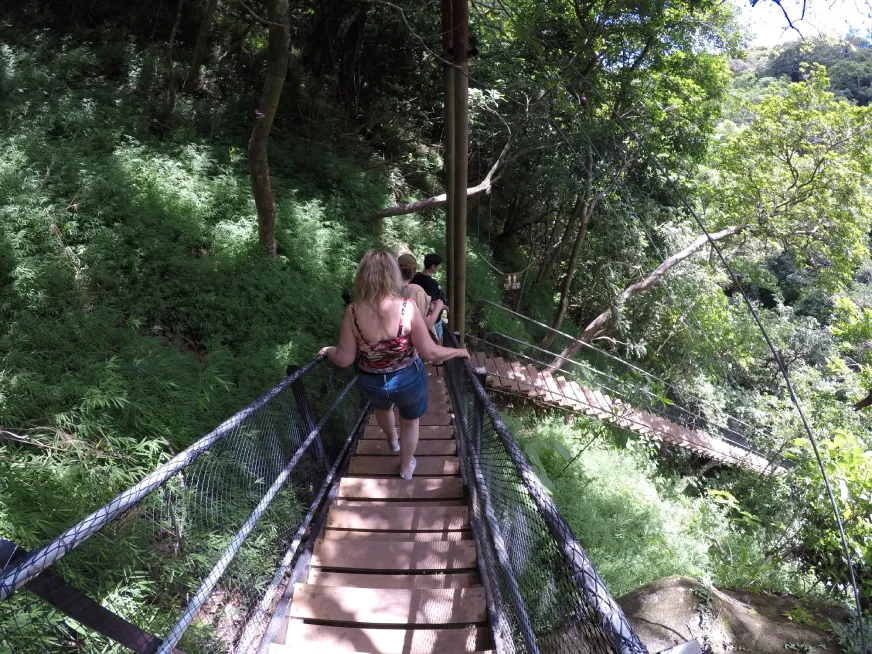 A hiker walks across a suspension bridge over a jungle river surrounded by dense vegetation.