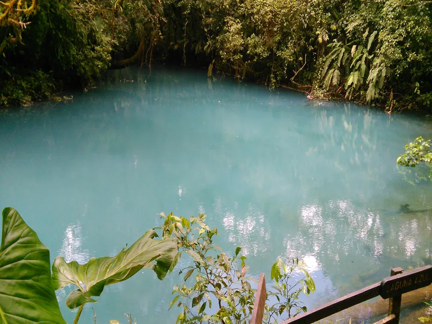 A calm turquoise pool of Rio Celeste surrounded by dark rocks and lush green jungle vegetation.