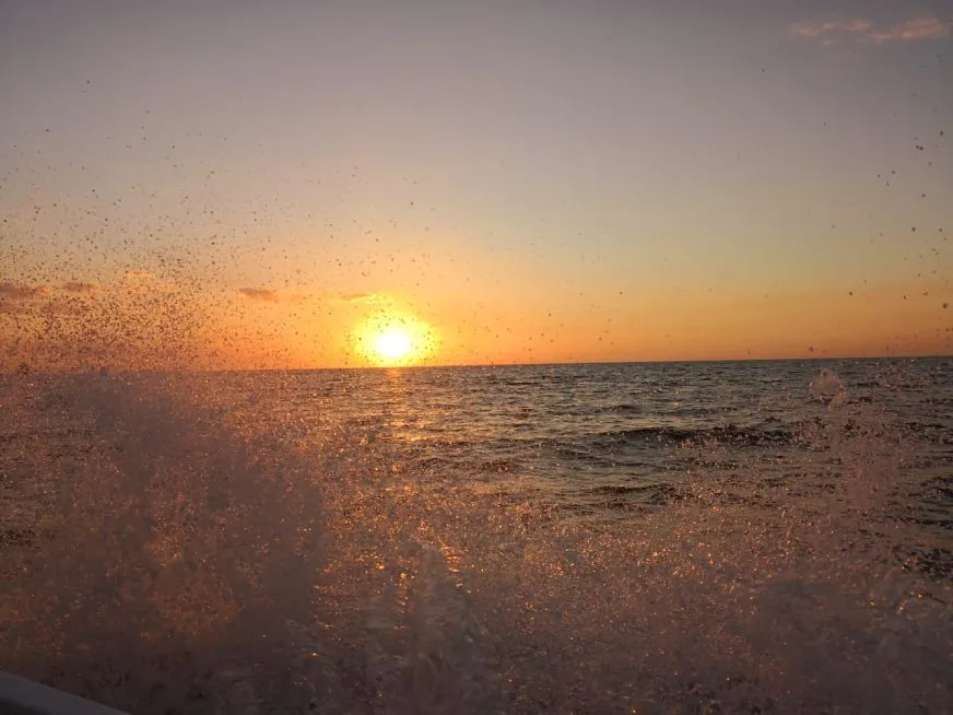 A flock of birds flies over a calm ocean with a golden orange sun setting on the horizon.