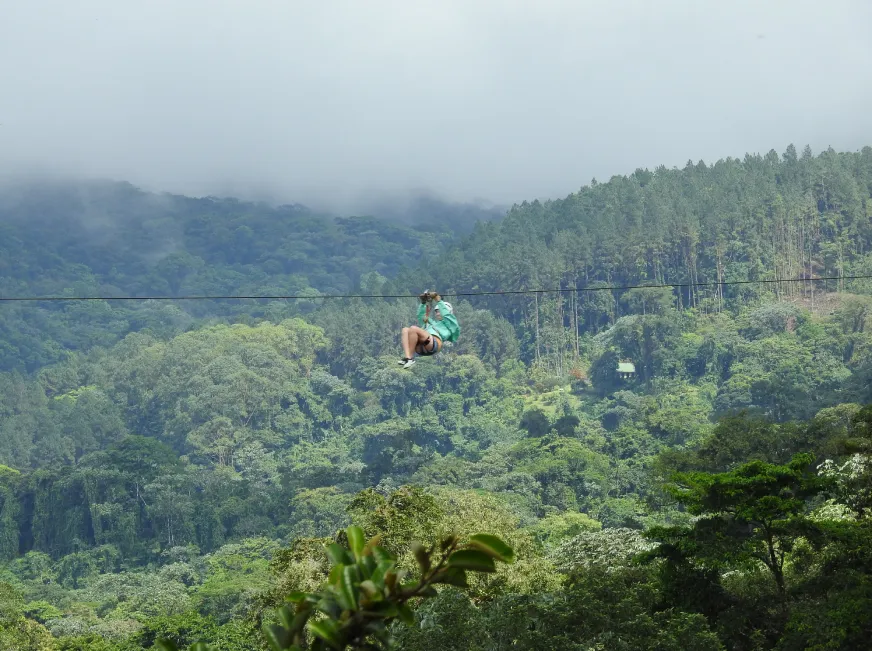 Aerial view of a lush green rainforest canopy with misty mountains stretching into the distance.