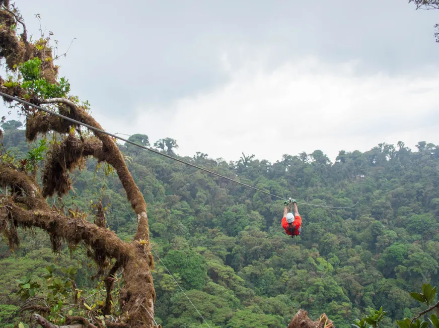 A person zip lines on a red cable above a vast green tropical forest canopy.